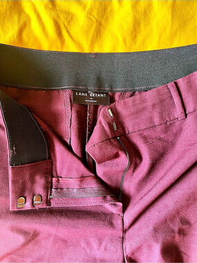 Lane Bryant Trousers